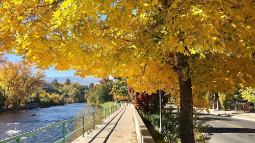 A scenic riverside path lined with vibrant yellow autumn trees under a clear blue sky.
