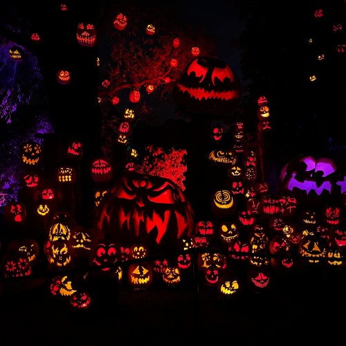 A vibrant display of intricately carved jack-o'-lanterns glowing in various shapes and expressions against a dark background.