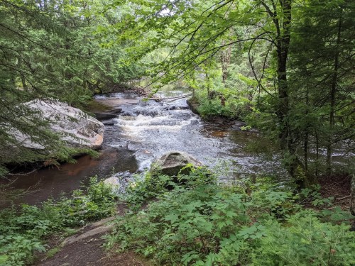 A serene forest scene featuring a flowing creek surrounded by lush greenery and large rocks.