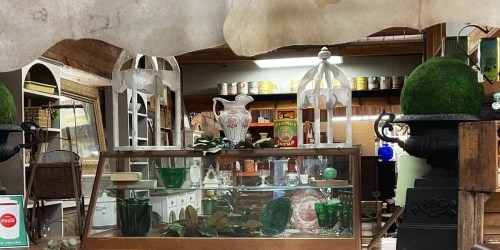 A vintage shop display featuring glassware, decorative items, and greenery under a rustic wooden ceiling.