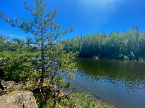 A serene river scene surrounded by lush green trees under a clear blue sky. Sunlight reflects on the water's surface.