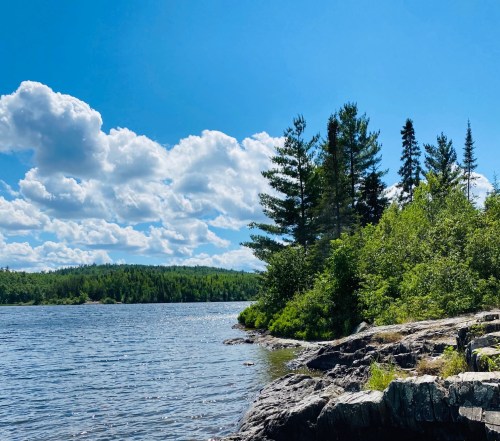 A serene lakeside scene with rocky shore, lush green trees, and a bright blue sky dotted with fluffy clouds.
