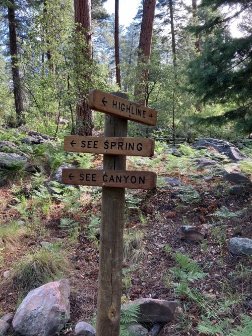 Wooden signpost in a forest with arrows pointing to "Highline," "See Spring," and "See Canyon."