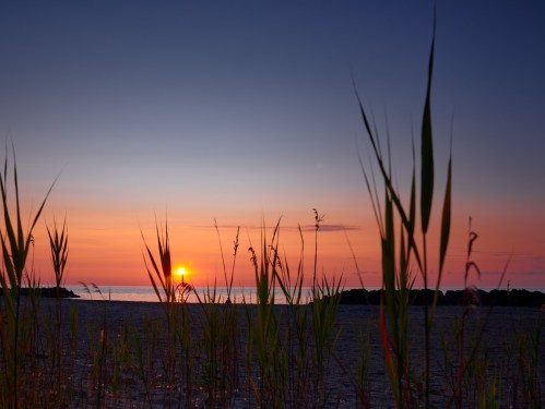 Sunset over the ocean, with tall grass silhouetted in the foreground against a colorful sky.