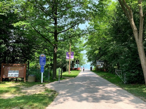 A tree-lined path leads to a lake, with signs on either side and people walking in the distance.
