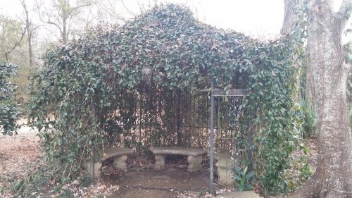 A secluded gazebo covered in lush green vines, featuring stone benches inside and surrounded by trees.