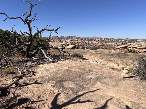 A barren landscape with a twisted tree, rocky terrain, and distant red rock formations under a clear blue sky.