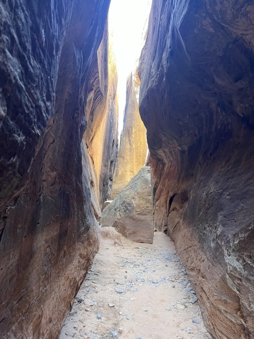 Narrow canyon with towering rock walls and a sandy floor, illuminated by sunlight from above.