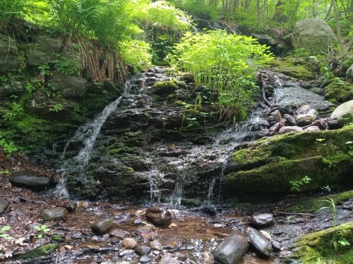 A serene waterfall cascading over moss-covered rocks, surrounded by lush greenery and small stones in a forest setting.