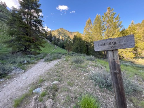 A wooden sign points to the Low Trail, surrounded by lush greenery and mountains under a clear blue sky.