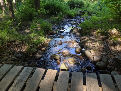 A serene stream flows over rocks, surrounded by lush greenery, with a wooden bridge in the foreground.