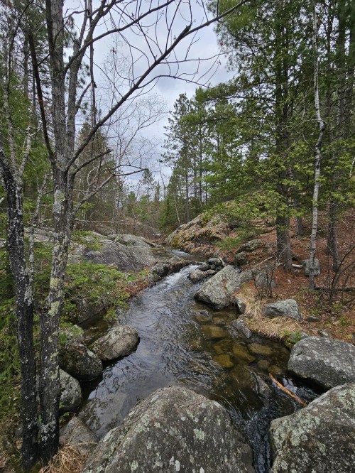 A serene stream flows through a rocky landscape, surrounded by lush green trees and a cloudy sky.
