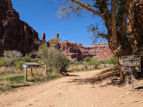 A dirt path leads to Supai Village, surrounded by red rock formations and greenery under a clear blue sky.