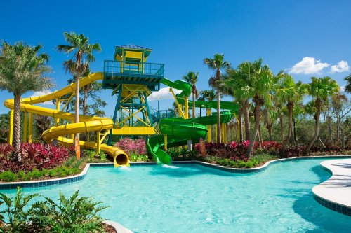 A vibrant water slide complex surrounded by palm trees and colorful plants, with a clear blue sky above.