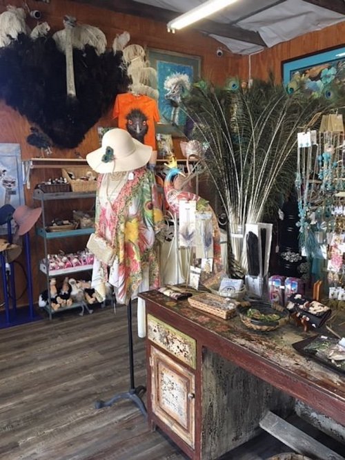 A colorful boutique display featuring a mannequin in a hat, peacock feathers, and various accessories on a rustic table.