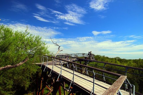 A wooden walkway stretches through lush greenery under a bright blue sky with scattered clouds.