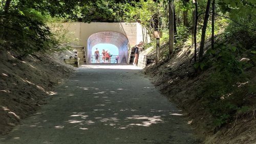 A dirt path leads to a tunnel, with people visible at the end, surrounded by trees and dappled sunlight.