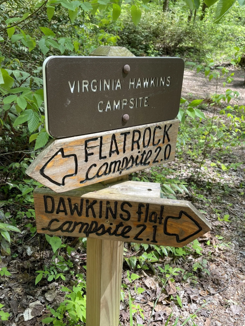 Wooden campsite signs pointing to Virginia Hawkins Campsite, Flatrock Campsite 2.0, and Dawkins Flat Campsite 2.1.