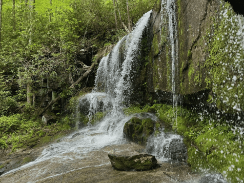 A serene waterfall cascading over moss-covered rocks, surrounded by lush greenery in a tranquil forest setting.