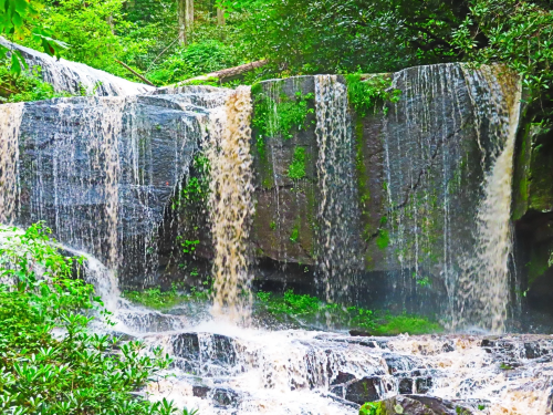 A serene waterfall cascading over rocky ledges, surrounded by lush green foliage and vibrant vegetation.