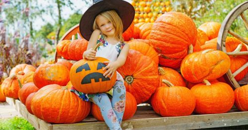 A little girl sitting on a wagon with large pumpkins at a pumpkin patch