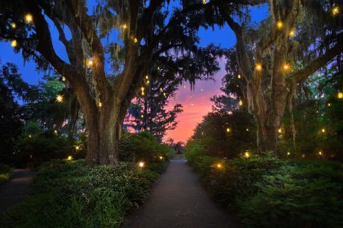 A serene pathway lined with trees draped in Spanish moss, illuminated by glowing lights against a colorful sunset sky.