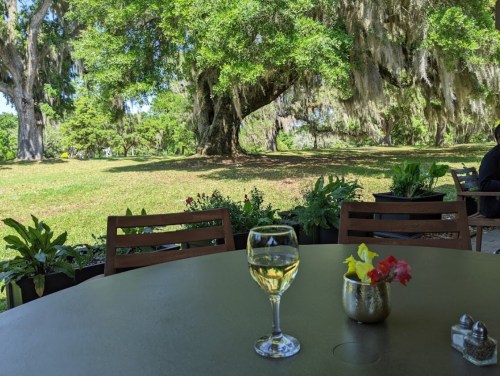 A glass of white wine on a table, surrounded by lush greenery and trees with Spanish moss in a serene outdoor setting.
