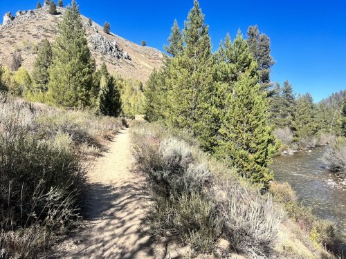 A dirt path winds through lush greenery alongside a river, with mountains in the background under a clear blue sky.