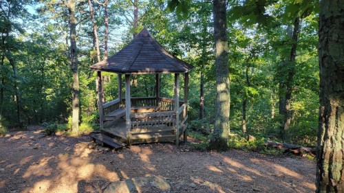 A wooden gazebo surrounded by lush green trees in a serene forest setting. Sunlight filters through the leaves.