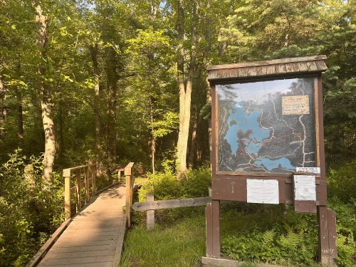 A wooden bridge leads to a trail map in a lush, green forest. Sunlight filters through the trees.