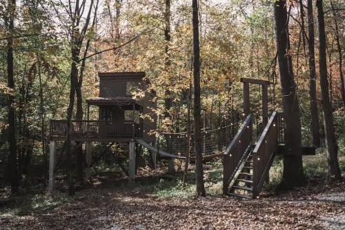 A treehouse nestled in a forest, surrounded by autumn foliage and a wooden bridge leading to a staircase.