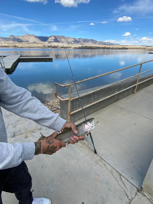 A person holds a fish by a lake, with mountains and a clear sky in the background. A fishing rod is nearby.