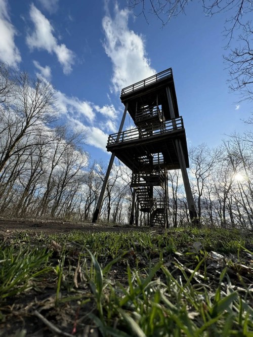 A tall wooden observation tower surrounded by bare trees under a blue sky with scattered clouds.