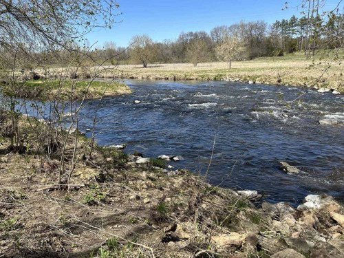A serene river flows through a grassy landscape, surrounded by trees and a clear blue sky.