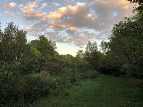 A serene landscape featuring a grassy path surrounded by trees and a colorful sky with scattered clouds.