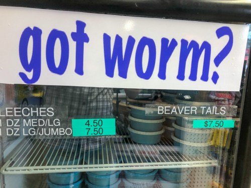 Sign asking "got worm?" above a display with prices for leeches and beaver tails.