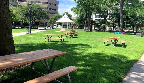 A sunny park with green grass, picnic tables, and a gazebo in the background. Trees line the area.