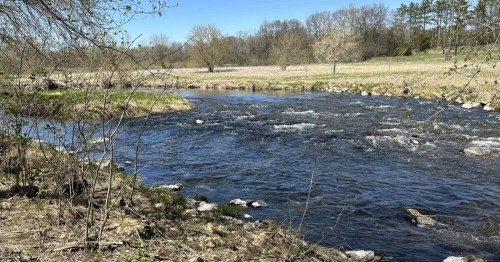 A serene river flows through a grassy landscape, surrounded by trees under a clear blue sky.