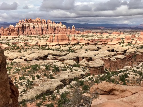 A vast desert landscape featuring unique rock formations and distant mountains under a cloudy sky.