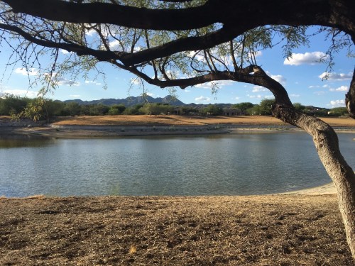 A serene landscape featuring a calm lake, a tree branch, and distant mountains under a clear blue sky.