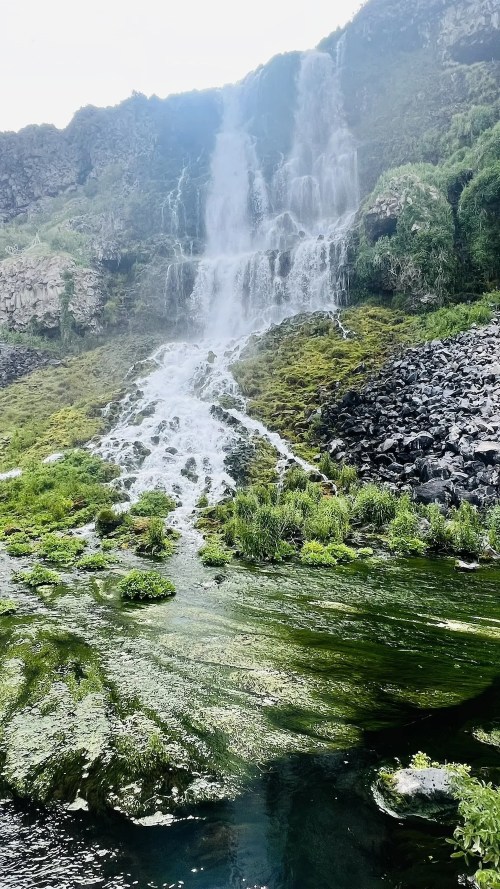 A cascading waterfall flows down a rocky cliff, surrounded by lush greenery and a serene pool at the base.