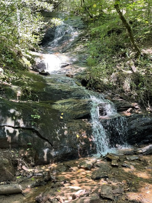 A serene waterfall cascading over rocky terrain, surrounded by lush green foliage and dappled sunlight.