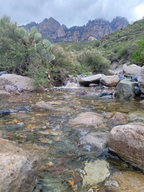 A clear stream flows over rocks, surrounded by lush greenery and mountains under a cloudy sky.