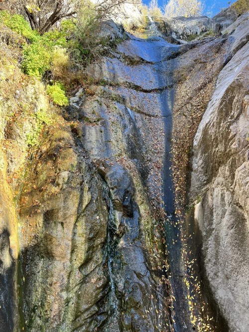 A rocky cliff with a small waterfall cascading down, surrounded by autumn leaves and greenery.