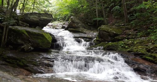A serene waterfall cascades over moss-covered rocks, surrounded by lush green trees in a tranquil forest setting.