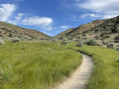 A winding dirt path through lush green grass, surrounded by rolling hills and a blue sky with scattered clouds.