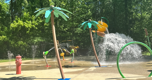 A colorful splash pad with palm trees, water features, and a fire hydrant in a sunny park setting.