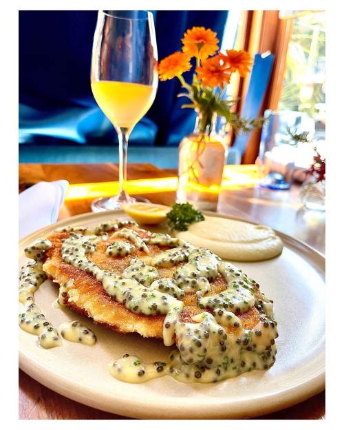 A plate of breaded fish topped with creamy sauce, served with mashed potatoes and a glass of mimosa in a bright setting.