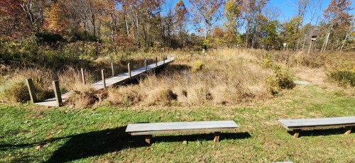 A wooden bridge crosses a grassy area with tall plants and trees in the background under a clear blue sky.