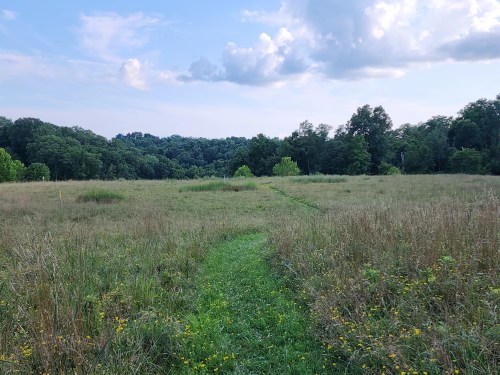 A grassy field with a narrow path leading through it, surrounded by trees and a blue sky with scattered clouds.